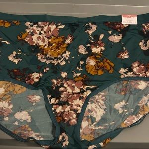 Lane Bryant Cacique Full Brief